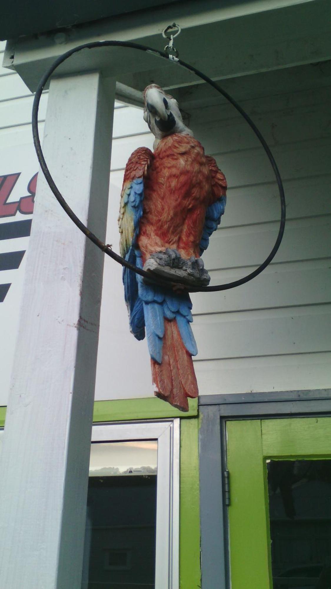 Wellington 747 Motel Pokój zdjęcie